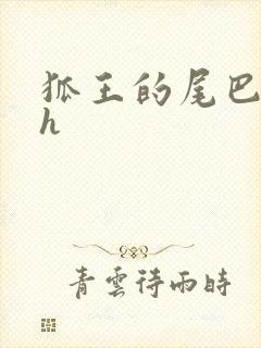 狐王的尾巴高ah