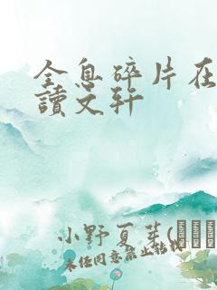 全息碎片在线阅读文轩