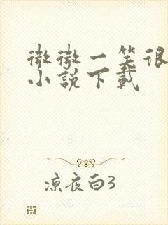 微微一笑很倾城小说下载