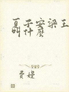 夏子安梁王书名叫什么