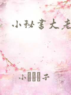 小秘书大老婆