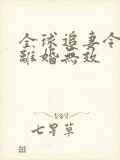 全球追妻令老婆离婚无效