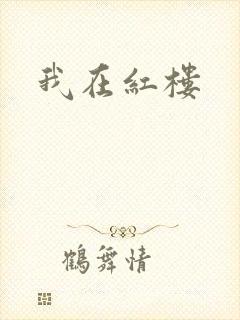 我在红楼