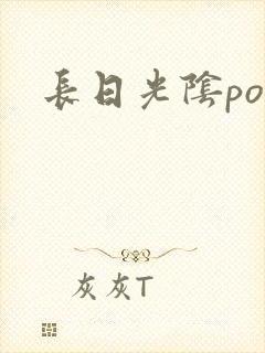 长日光阴po