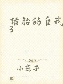 备胎的自我修养3