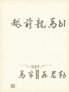 越前龙马bl