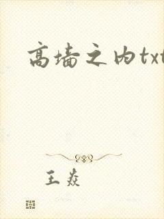 高墙之内txt