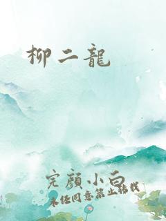 柳二龙