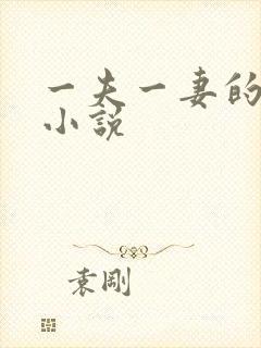 一夫一妻的玄幻小说