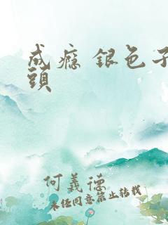 成瘾 银色子弹头