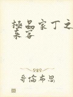 极品家丁之远方来客