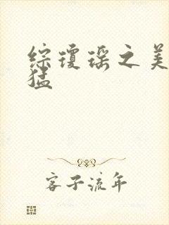 综琼瑶之美人凶猛