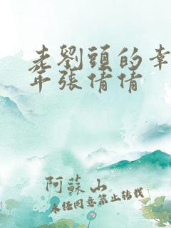 老刘头的幸福晚年张倩倩