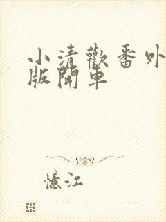 小清欢番外完整版开车