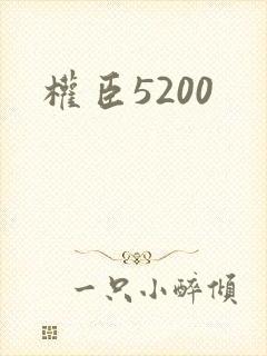 权臣5200