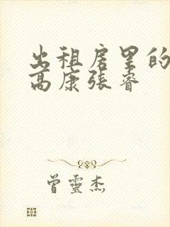 出租房里的交互高康张睿