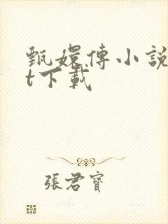 甄嬛传小说txt下载