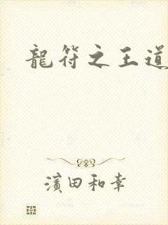 龙符之王道天下