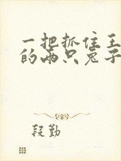 一把抓住王昭君的两只兔子