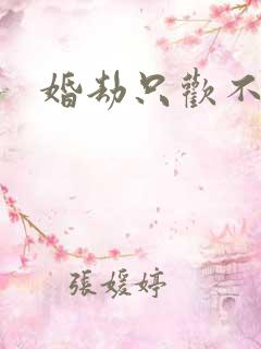 婚劫只欢不爱