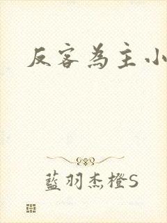 反客为主小说