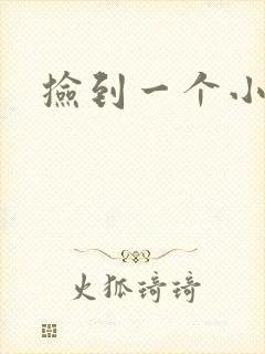 捡到一个小妖精