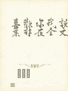 喜欢你我说了算叶非夜全文免费阅读