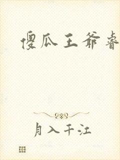 傻瓜王爷睿智妃