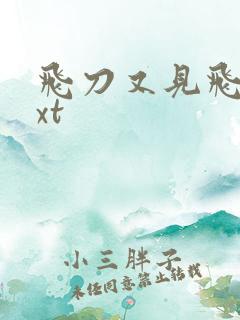 飞刀又见飞刀txt