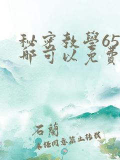 秘密教学65在哪可以免费阅读