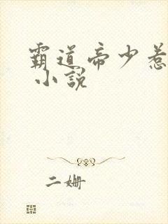 霸道帝少惹不得 小说