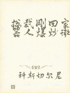 总裁刚回家被机器人爆炒微博