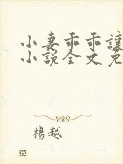 小妻乖乖让我宠小说全文免费阅读