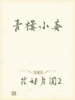 青楼小妾