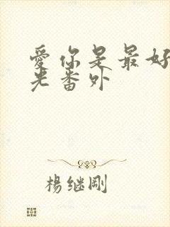 爱你是最好的时光番外