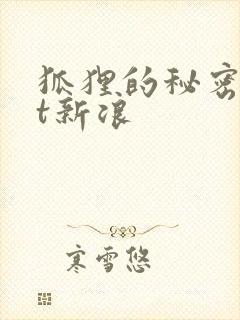 狐狸的秘密txt新浪