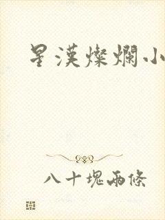 星汉灿烂小说