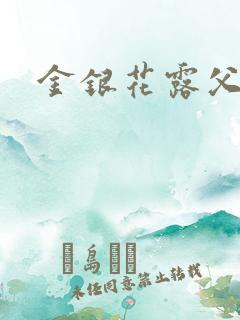 金银花露父欲