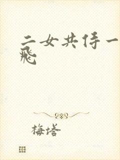 二女共侍一夫双飞