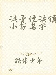 洪青烟洪镇国的小说名字