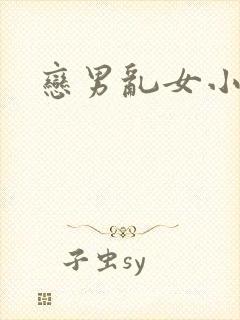 恋男乱女小说