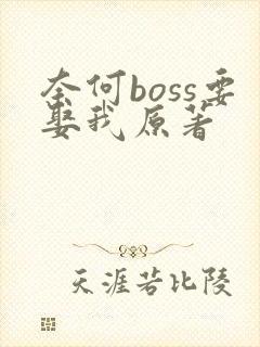 奈何boss要娶我原著