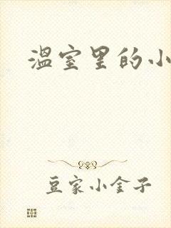 温室里的小百合