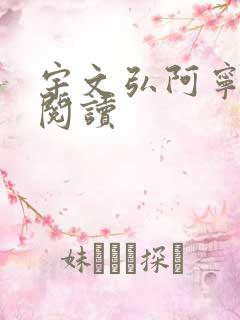 宇文弘阿宁全文阅读