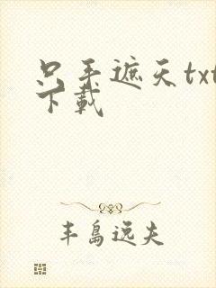 只手遮天txt下载
