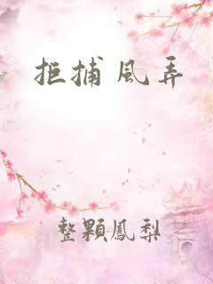 拒捕 风弄