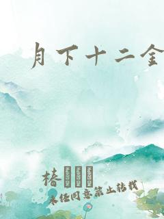 月下十二金钗