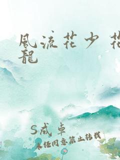 风流花少 花睿龙