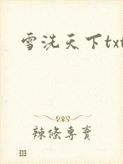 雪洗天下txt