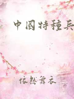 中国特种兵小说